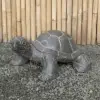 Artikelbild 1 des Artikels “Schildkröte, 62 cm L | Steinguss, handgefertigt & gefärbt “